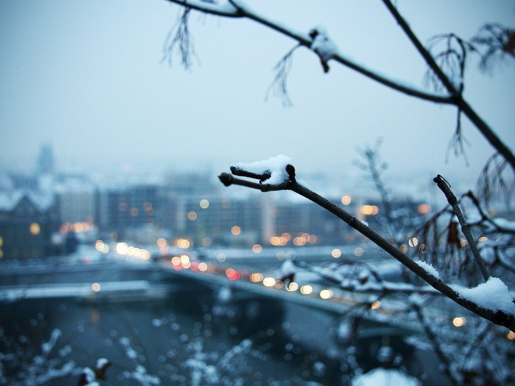 Обои ветка, снег, зима, город, branch, snow, winter, the city разрешение 1920x1200 Загрузить
