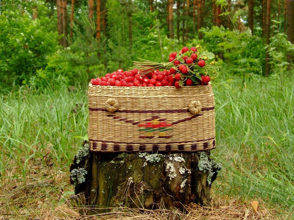 Обои корзина, пень, земляника, basket, stump, strawberries разрешение 1920x1440 Загрузить