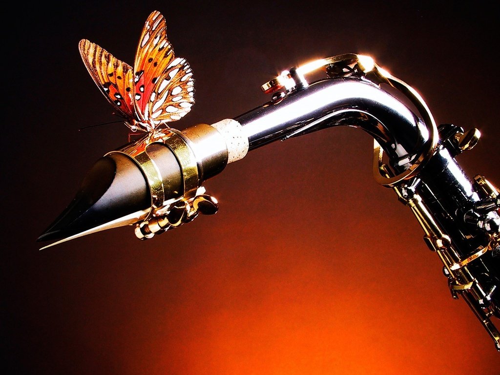 Обои бабочка, крылья, саксофон, butterfly, wings, saxophone разрешение 1920x1200 Загрузить