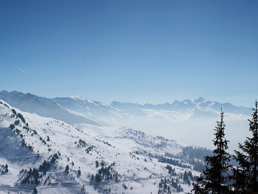 Обои горы, снег, лес, montblanc, mountains, snow, forest разрешение 1920x1080 Загрузить