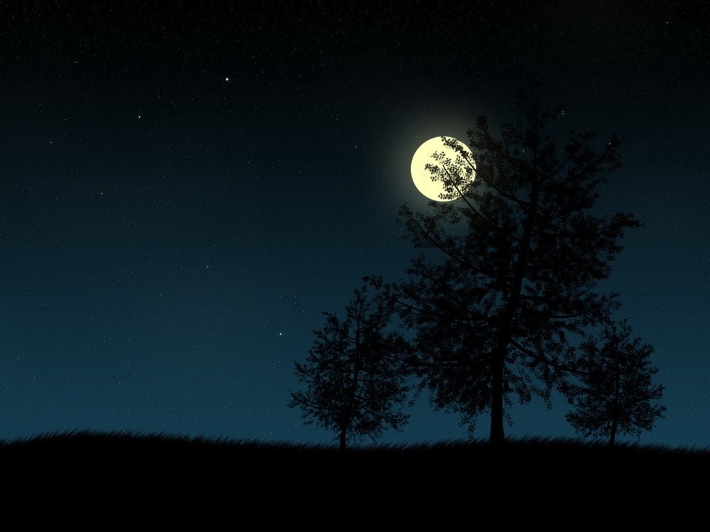 Обои ночь, деревья, вектор, луна, night, trees, vector, the moon разрешение 1920x1200 Загрузить