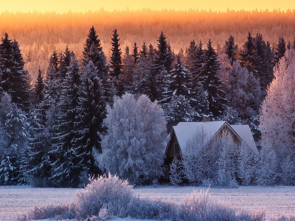 Обои природа, лес, зима, дом, nature, forest, winter, house разрешение 1920x1200 Загрузить