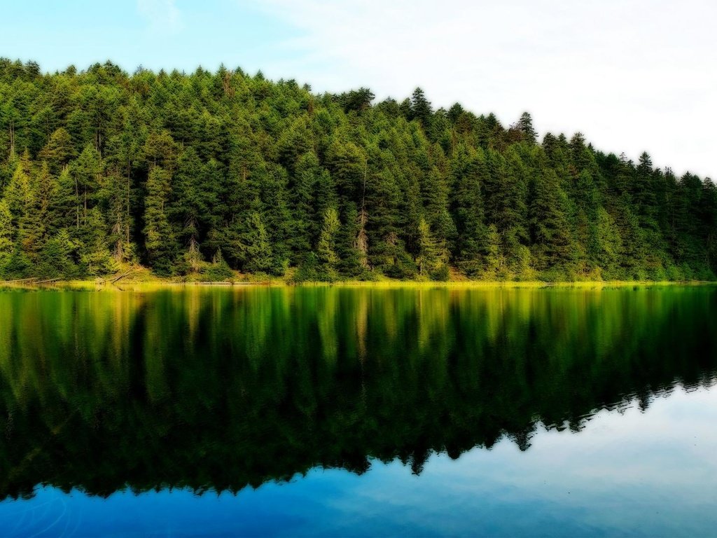 Обои озеро, природа, лес, отражение леса и неба, lake, nature, forest, reflection of forest and sky разрешение 1920x1080 Загрузить