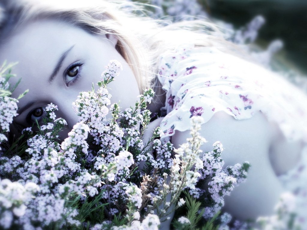 Обои цветы, девушка, блондинка, взгляд, лицо, полевые цветы, flowers, girl, blonde, look, face, wildflowers разрешение 1920x1200 Загрузить