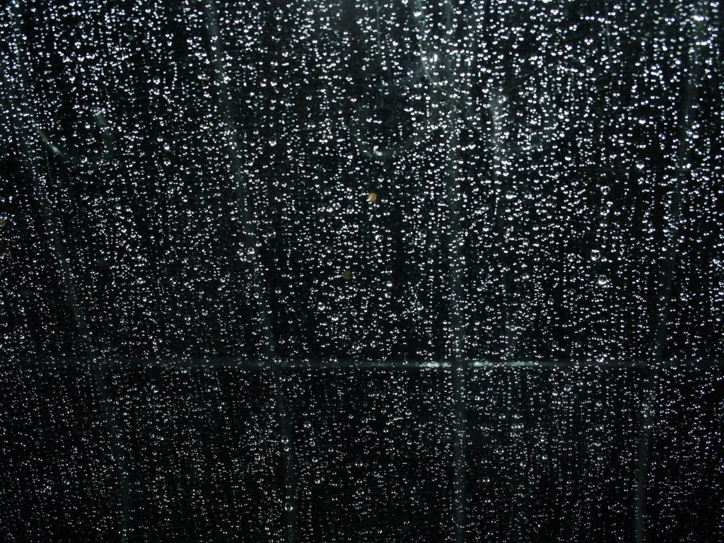 Обои ночь, вода, капли, дождь, окно, стекло, night, water, drops, rain, window, glass разрешение 2560x1600 Загрузить