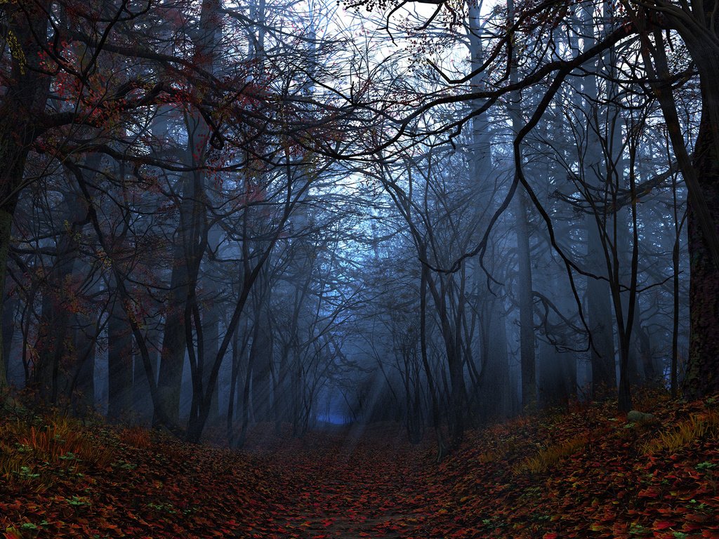 Обои свет, деревья, лес, листья, лучи, осень, light, trees, forest, leaves, rays, autumn разрешение 1920x1200 Загрузить