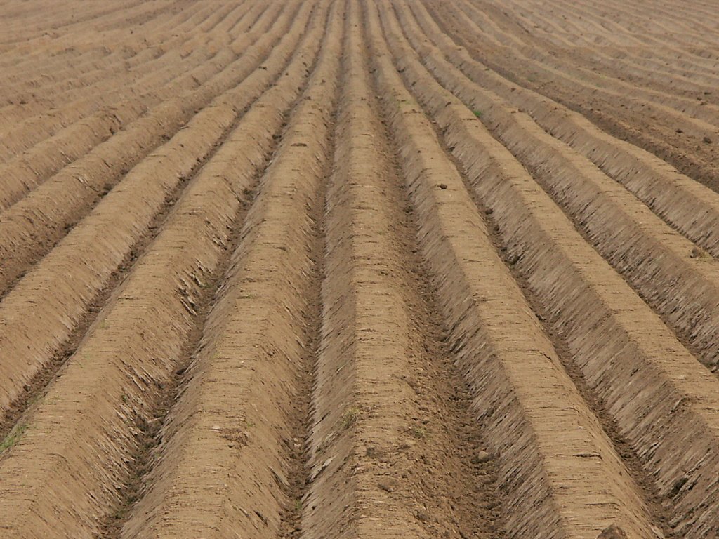 Обои земля, поле, пашня, пахота, earth, field, arable land, plowing разрешение 1920x1080 Загрузить