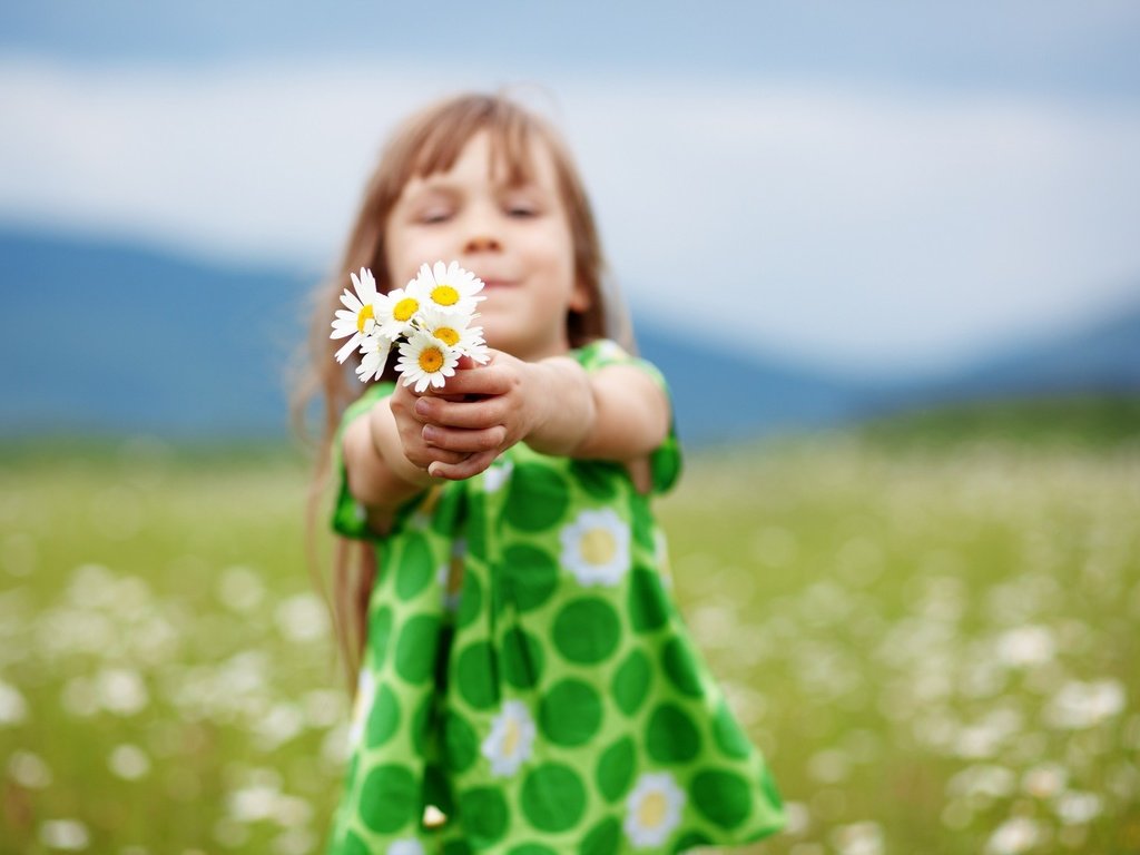 Обои платье, поле, дети, девочка, ромашки, dress, field, children, girl, chamomile разрешение 1920x1280 Загрузить