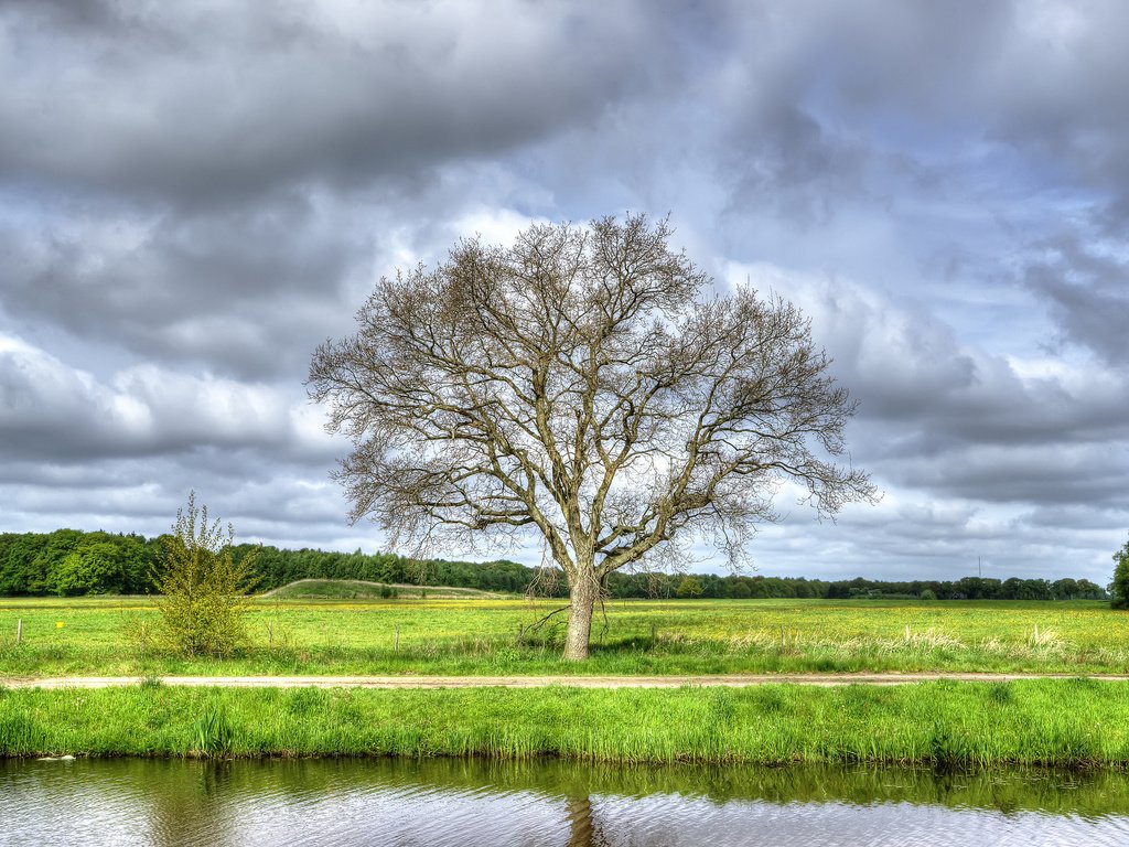 Обои небо, трава, облака, река, дерево, лес, поле, the sky, grass, clouds, river, tree, forest, field разрешение 2048x1365 Загрузить