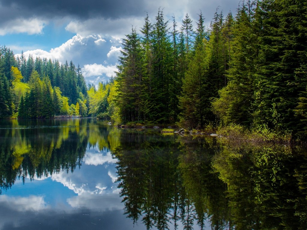 Обои озеро, лес, отражения, весна, канада, британская колумбия, lake, forest, reflection, spring, canada, british columbia разрешение 2048x1151 Загрузить