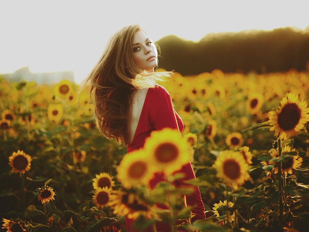 Обои девушка, лето, взгляд, подсолнухи, красное платье, girl, summer, look, sunflowers, red dress разрешение 2048x1365 Загрузить