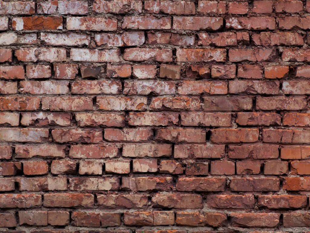 Обои красная, стена, кирпичи, краcный, red, wall, bricks разрешение 5616x3744 Загрузить