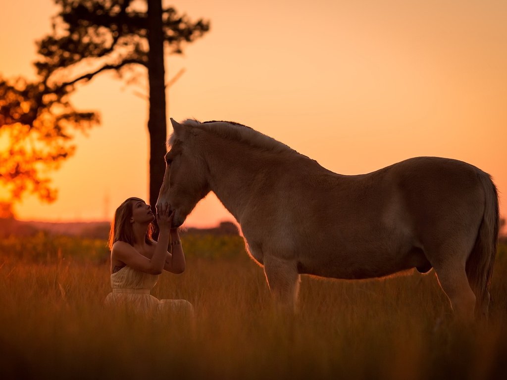 Обои закат, девушка, настроение, конь, sunset, girl, mood, horse разрешение 2047x1301 Загрузить