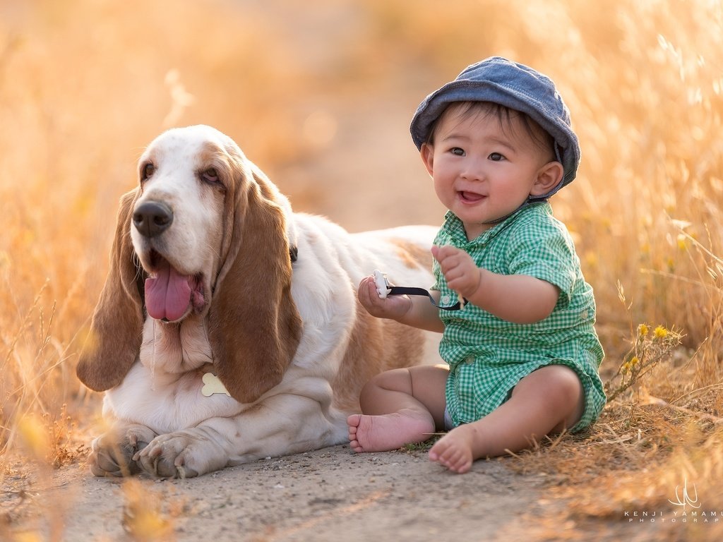 Обои собака, фотограф, ребенок, мальчик, друг, бассет, бассет-хаунд, kenji yamamura, dog, photographer, child, boy, each, bassett, the basset hound разрешение 2048x1367 Загрузить