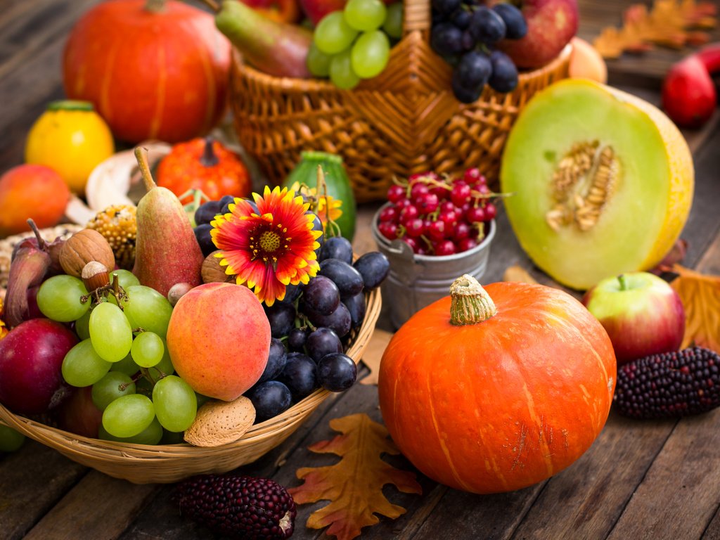 Обои виноград, осень, урожай, персик, тыква, осен, красотуля, grapes, autumn, harvest, peach, pumpkin разрешение 5106x3404 Загрузить