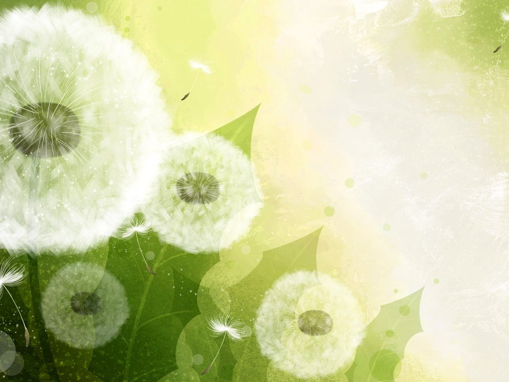 Обои природа, вектор, одуванчик, былинка, nature, vector, dandelion, blade of grass разрешение 1920x1200 Загрузить