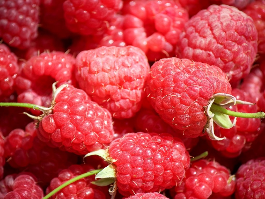 Обои макро, малина, ягоды, macro, raspberry, berries разрешение 2600x1670 Загрузить