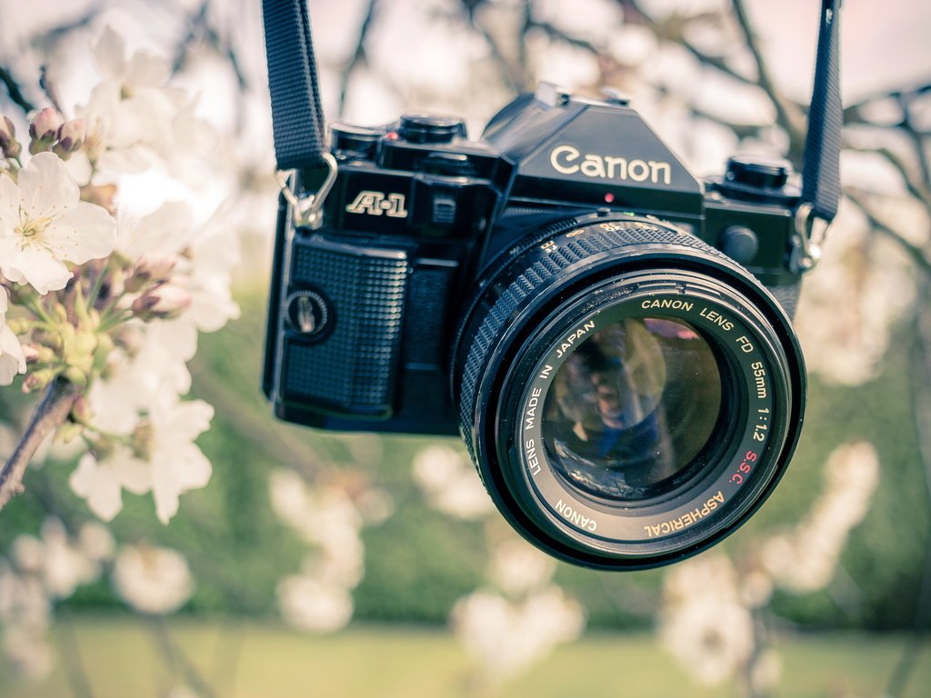 Обои сад, весна, камера, канон, garden, spring, camera, canon разрешение 2560x1610 Загрузить