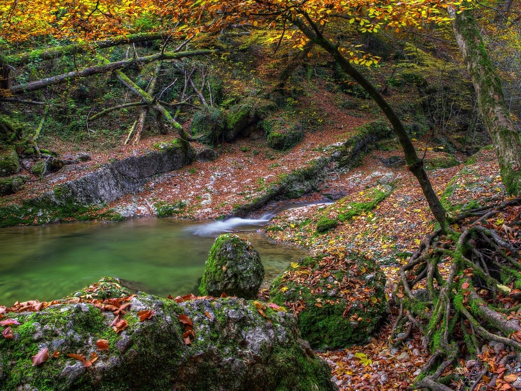 Обои вода, камни, листва, осень, опадают, осен,  листья, water, stones, foliage, autumn, fall, leaves разрешение 4287x2847 Загрузить