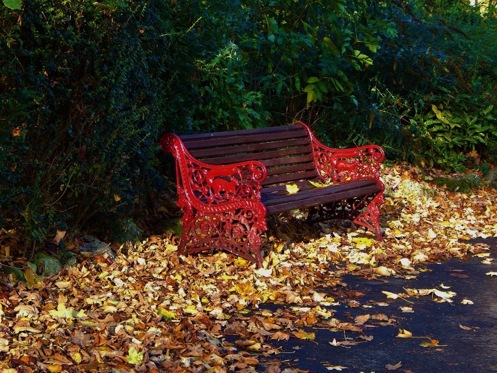 Обои парк, листва, осень, скамейка, листопад, опадают, осен,  листья, park, foliage, autumn, bench, falling leaves, fall, leaves разрешение 4608x3456 Загрузить