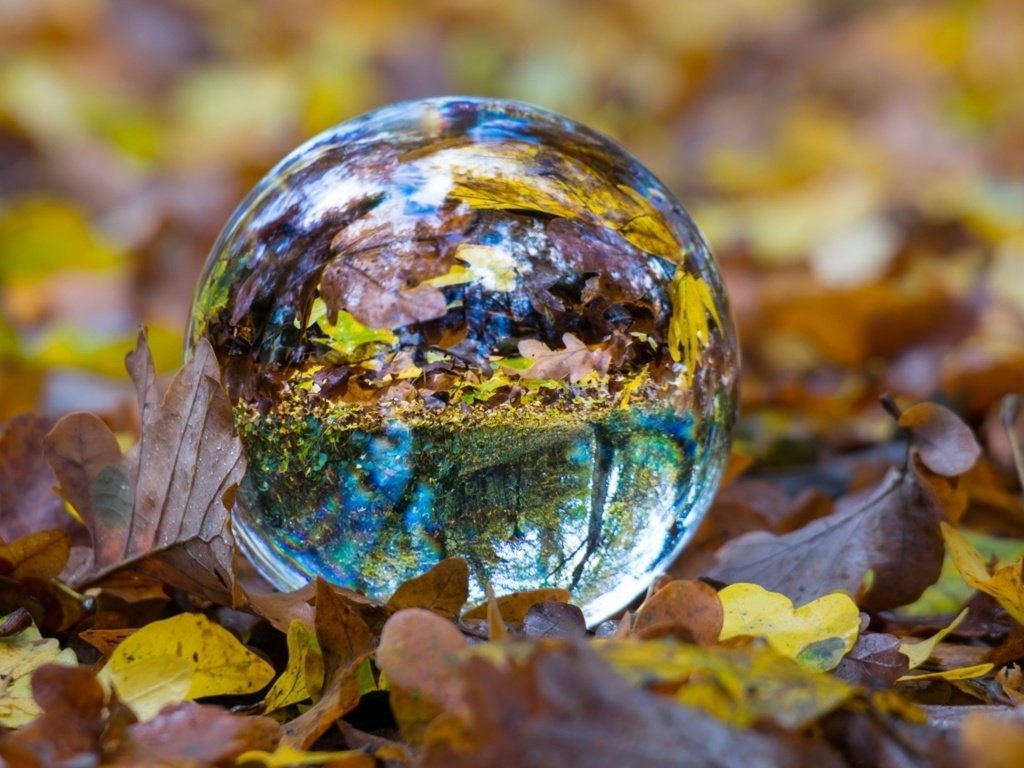 Обои отражение, листва, осень, сфера, шар, стеклянный шар, стеклянный, reflection, foliage, autumn, sphere, ball, glass globe, glass разрешение 1920x1080 Загрузить