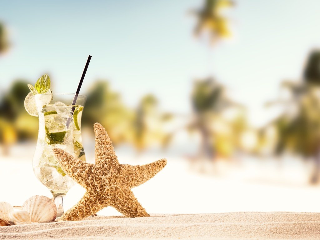 Обои солнце, песка, мохито, море, seashells, песок, каникулы, пляж, летнее, лето, ракушки, коктейль, морская звезда, the sun, mojito, sea, sand, vacation, beach, summer, shell, cocktail, starfish разрешение 5616x3744 Загрузить