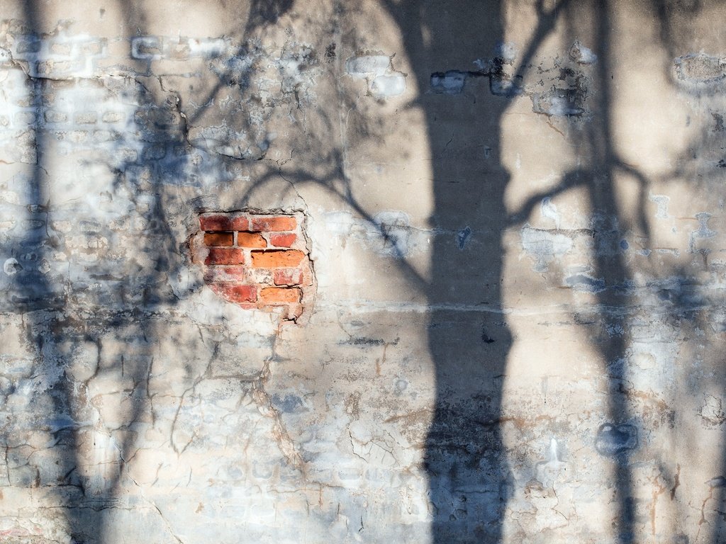 Обои свет, стена, тень, кирпич, light, wall, shadow, brick разрешение 1920x1280 Загрузить