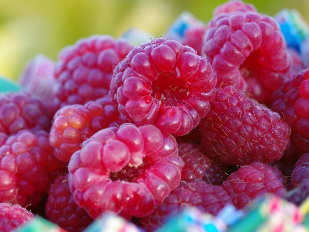 Обои малина, ягода, ягоды, крупным планом, raspberry, berry, berries, closeup разрешение 1920x1080 Загрузить