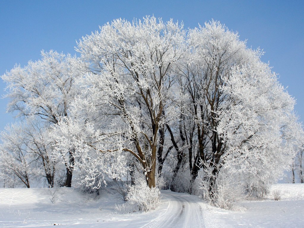 Обои небо, дорога, деревья, снег, зима, иней, the sky, road, trees, snow, winter, frost разрешение 1920x1200 Загрузить