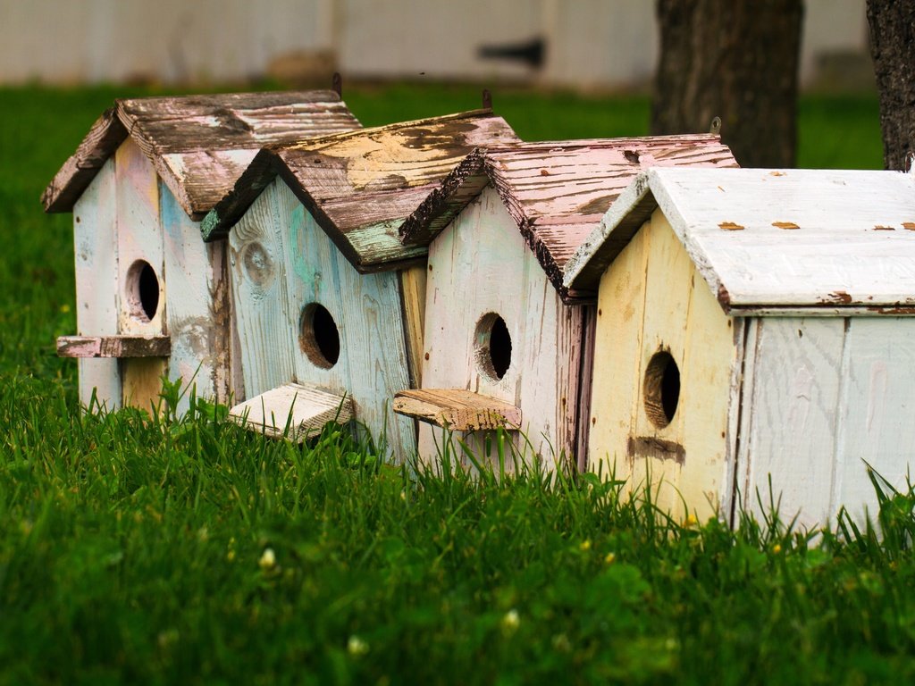 Обои трава, домики, крупный план, птичьи домики, скворечники, grass, houses, close-up, bird houses, birdhouses разрешение 5184x3192 Загрузить