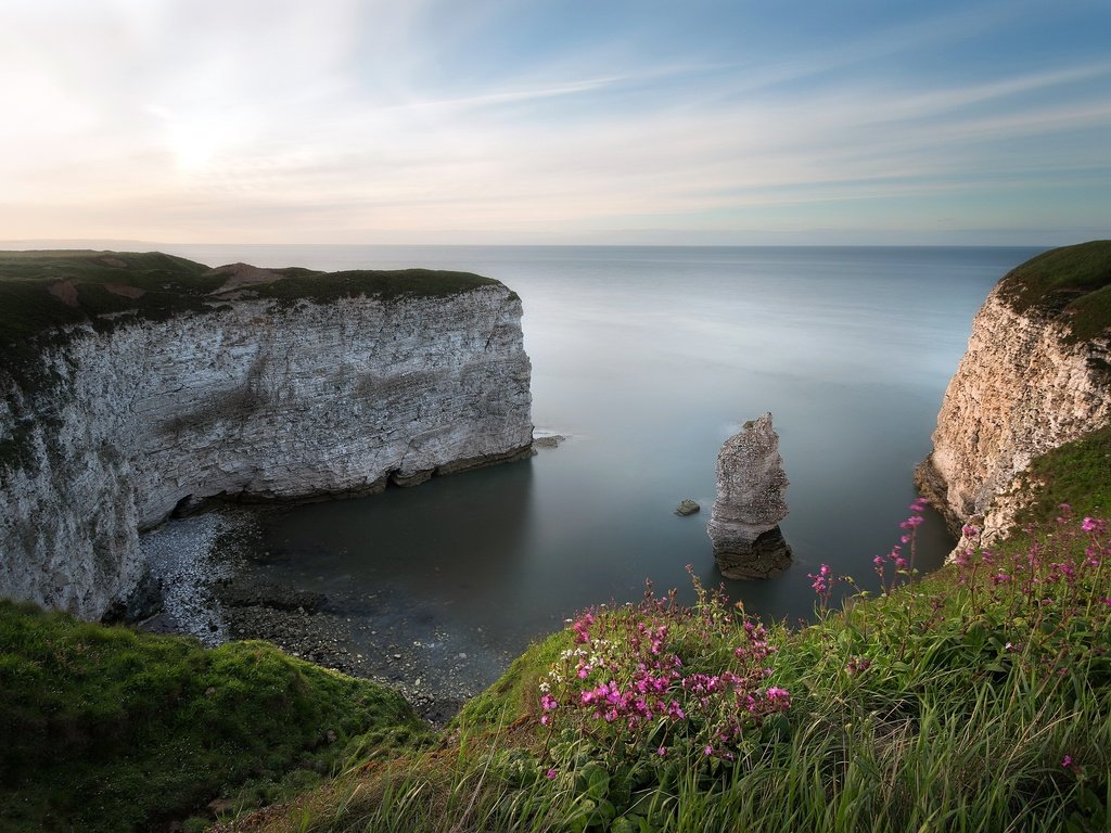 Обои цветы, трава, скалы, природа, берег, море, flowers, grass, rocks, nature, shore, sea разрешение 2048x1372 Загрузить