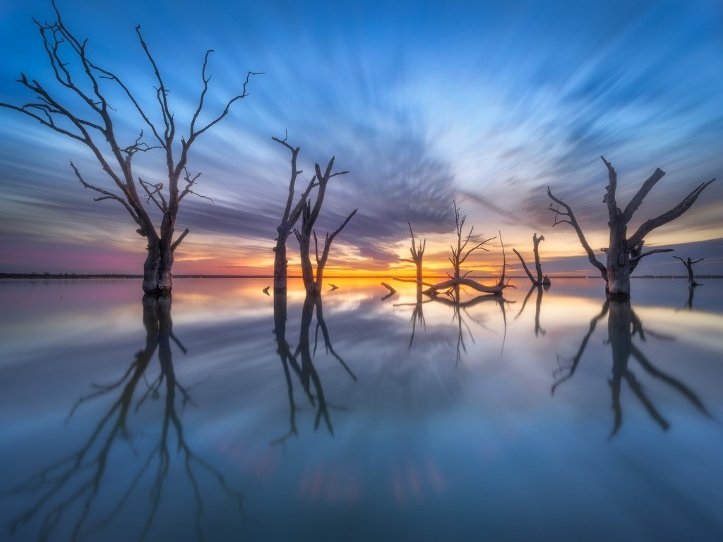 Обои деревья, озеро, отражение, австралия, южная австралия, lake bonney, trees, lake, reflection, australia, south australia разрешение 2048x1365 Загрузить