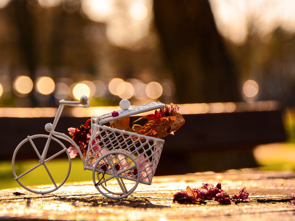 Обои цветы, лепестки, велосипед, фигурка, сувенир, flowers, petals, bike, figure, souvenir разрешение 1920x1200 Загрузить