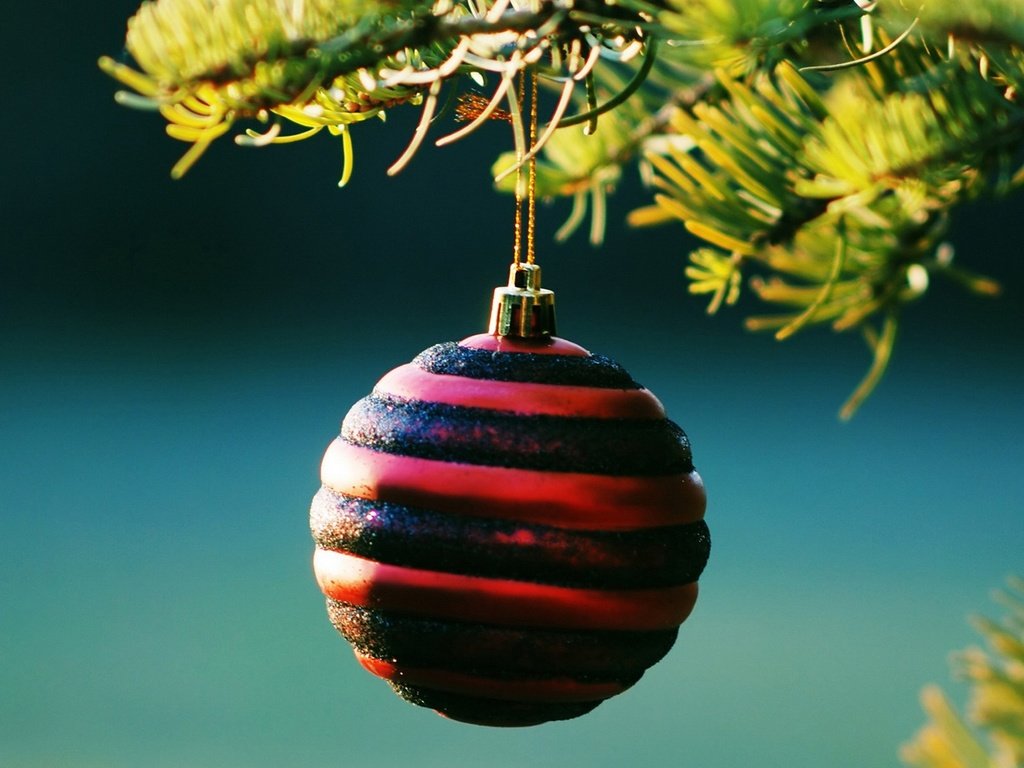 Обои новый год, елка, шар, рождество, new year, tree, ball, christmas разрешение 1920x1200 Загрузить