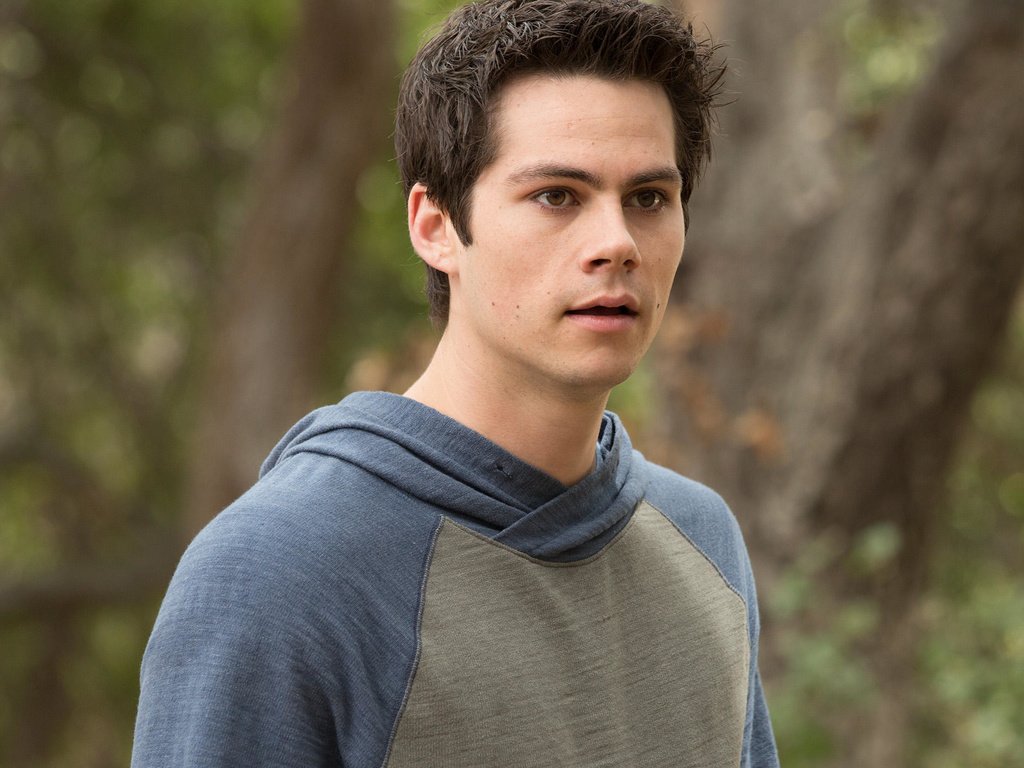 Обои взгляд, актёр, лицо, дилан о’брайен, look, actor, face, dylan o'brien разрешение 2070x1380 Загрузить