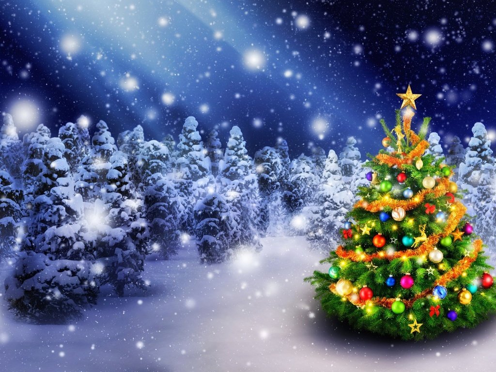 Обои снег, елочные украшения, новый год, елка, зима, звезды, праздник, рождество, елочные игрушки, snow, new year, tree, winter, stars, holiday, christmas, christmas decorations разрешение 2560x1447 Загрузить