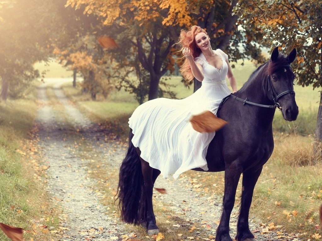 Обои девушка, верхом, на лошади, girl, top, horse разрешение 2560x1440 Загрузить