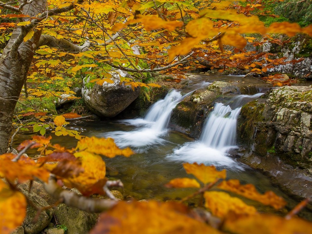 Обои деревья, река, ветки, водопад, осень, trees, river, branches, waterfall, autumn разрешение 2000x1334 Загрузить