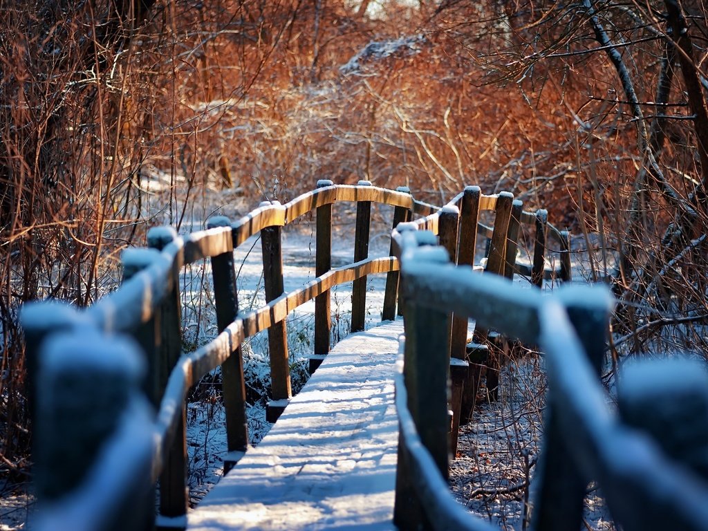 Обои зима, тропа, деревянный мост, winter, trail, wooden bridge разрешение 2048x1363 Загрузить