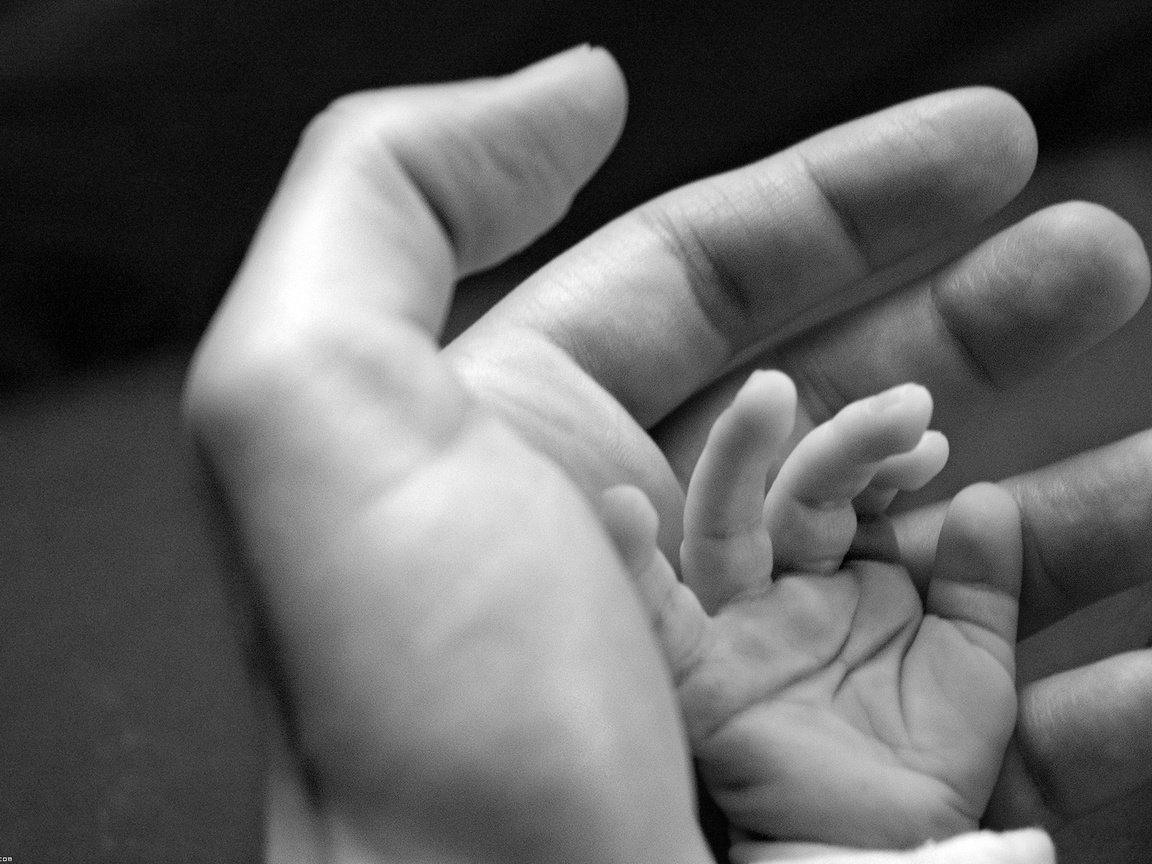 Обои руки, отец, младенец, hands, father, baby разрешение 1920x1200 Загрузить