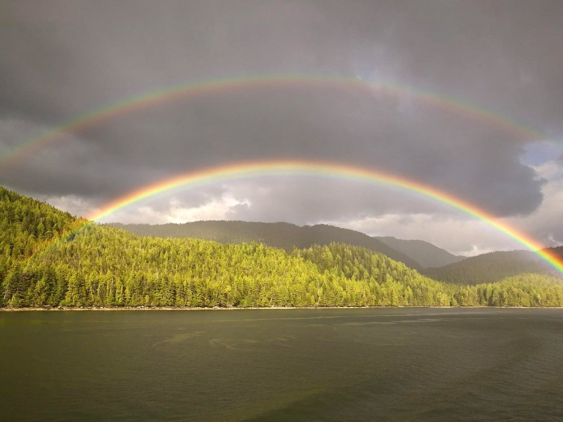 Обои облака, лес, радуга, водоем, clouds, forest, rainbow, pond разрешение 1920x1200 Загрузить