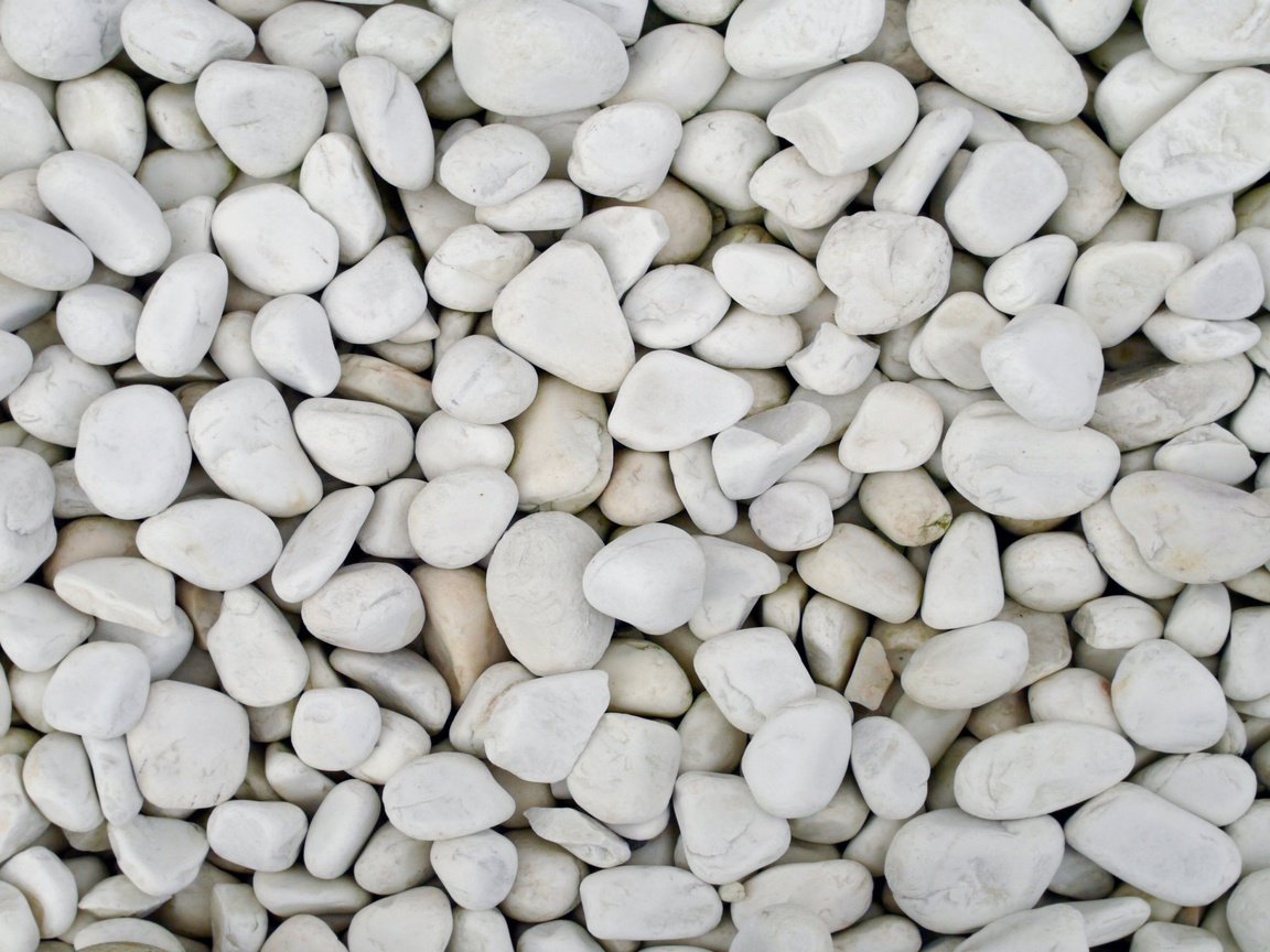 Обои камни, галька, белая, stones, pebbles, white разрешение 2560x1600 Загрузить