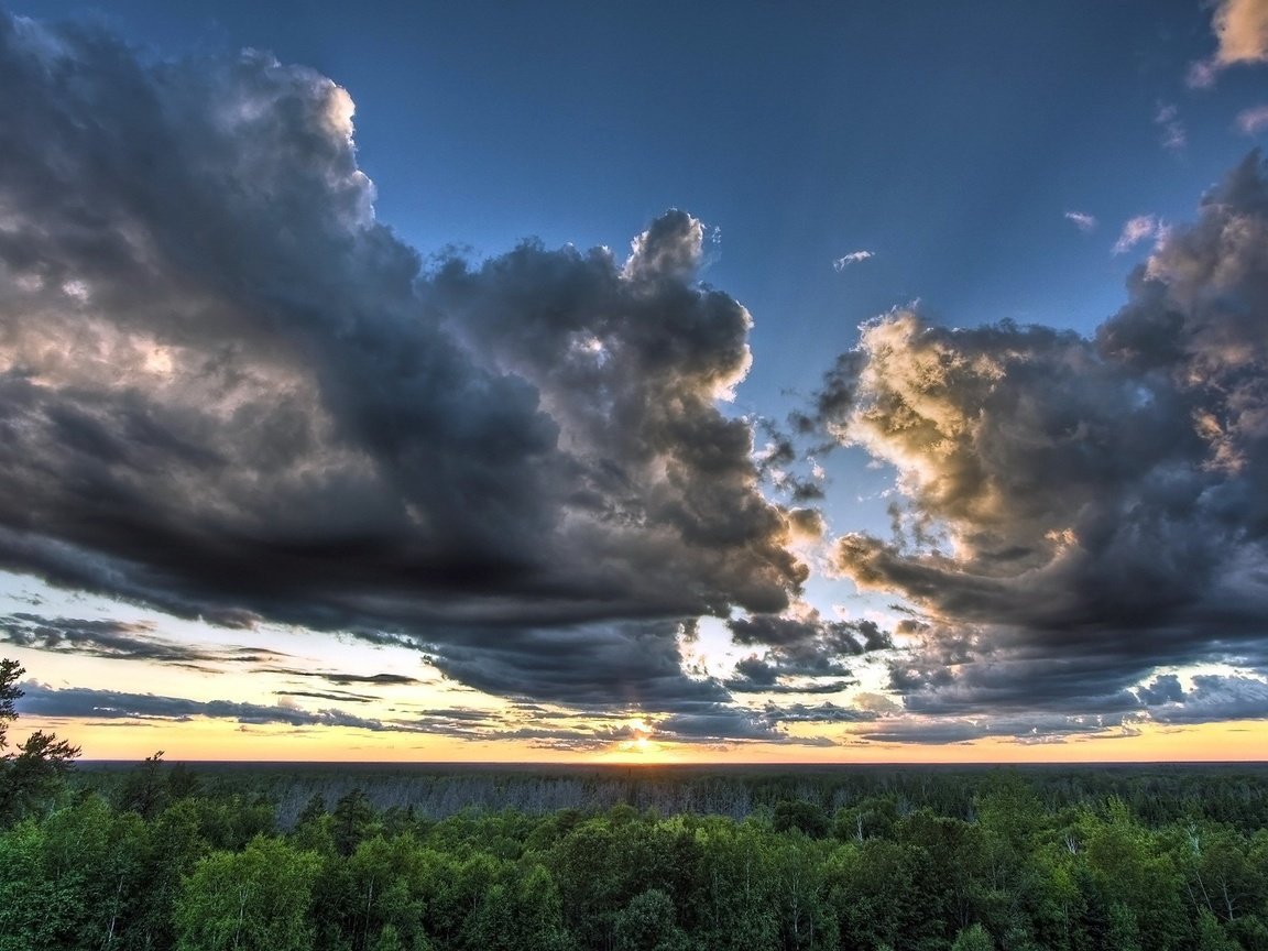 Обои небо, облака, лес, the sky, clouds, forest разрешение 1920x1200 Загрузить