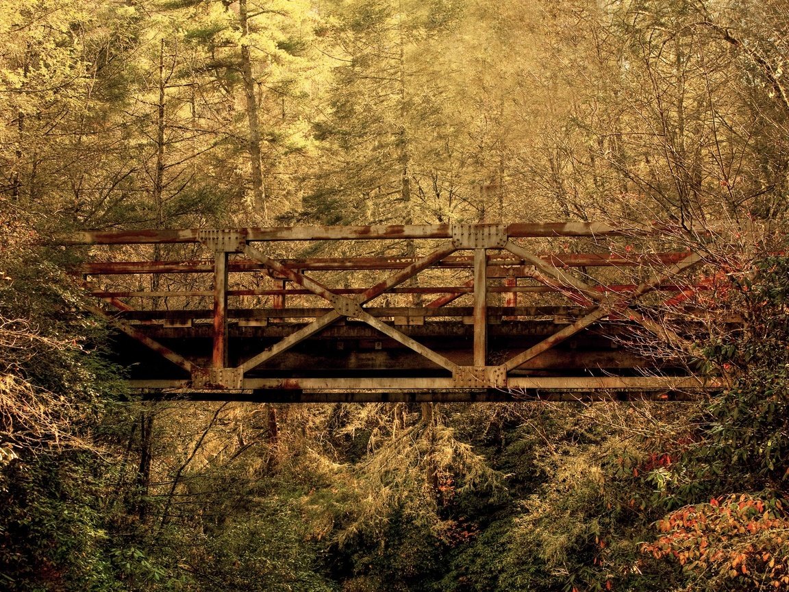 Обои лес, листья, мост, осень, южная каролина, forest, leaves, bridge, autumn, south carolina разрешение 2560x1600 Загрузить