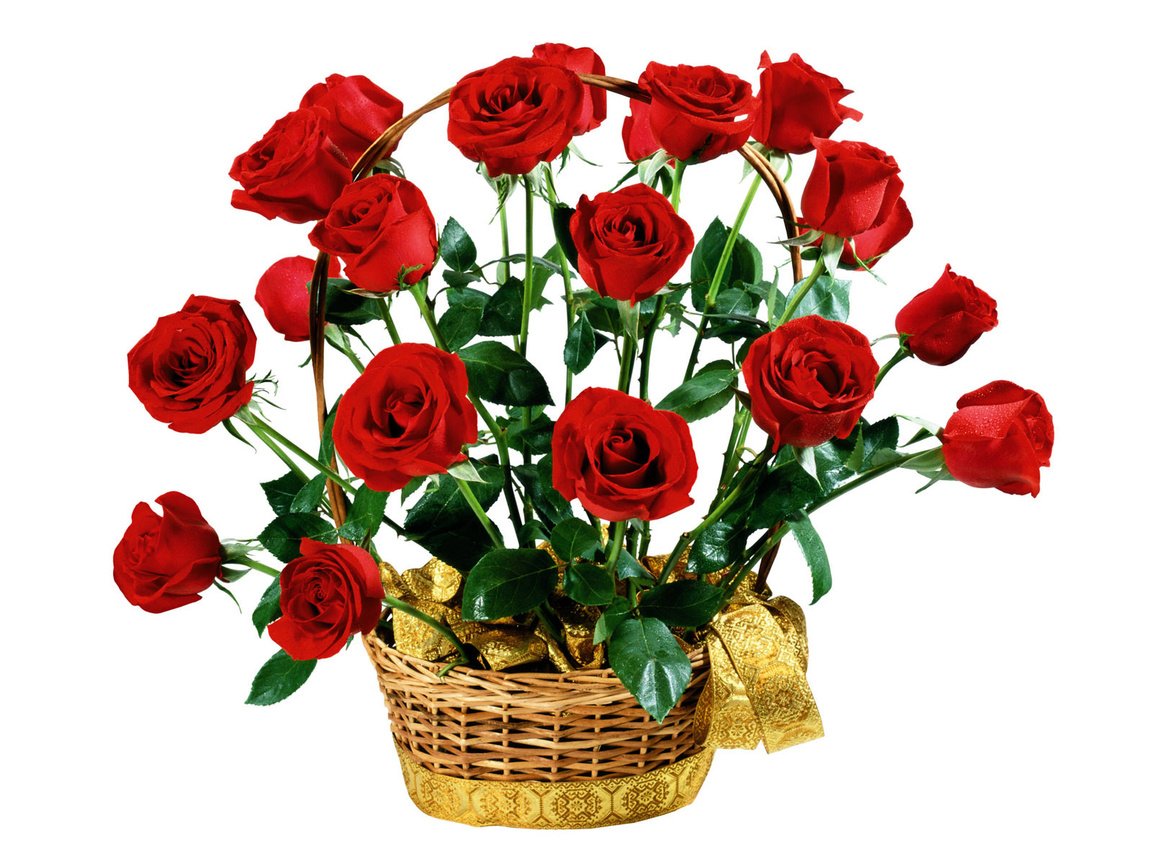 Обои цветы, розы, красные, букет, белый фон, подарок, flowers, roses, red, bouquet, white background, gift разрешение 1920x1200 Загрузить