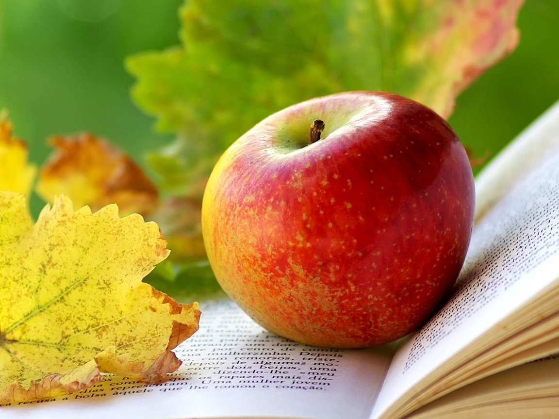 Обои листья, яблоко, книга, leaves, apple, book разрешение 1920x1200 Загрузить