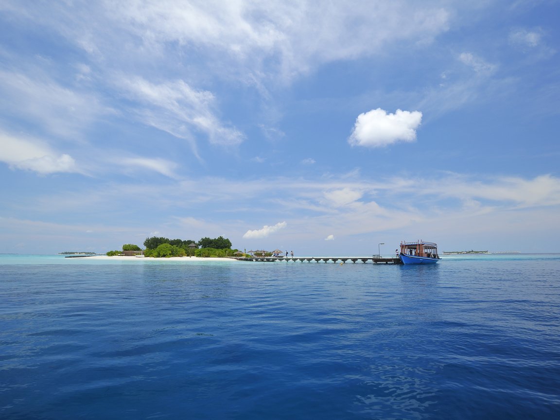 Обои пальмы, остров, тропики, мальдивы, palm trees, island, tropics, the maldives разрешение 4042x2689 Загрузить