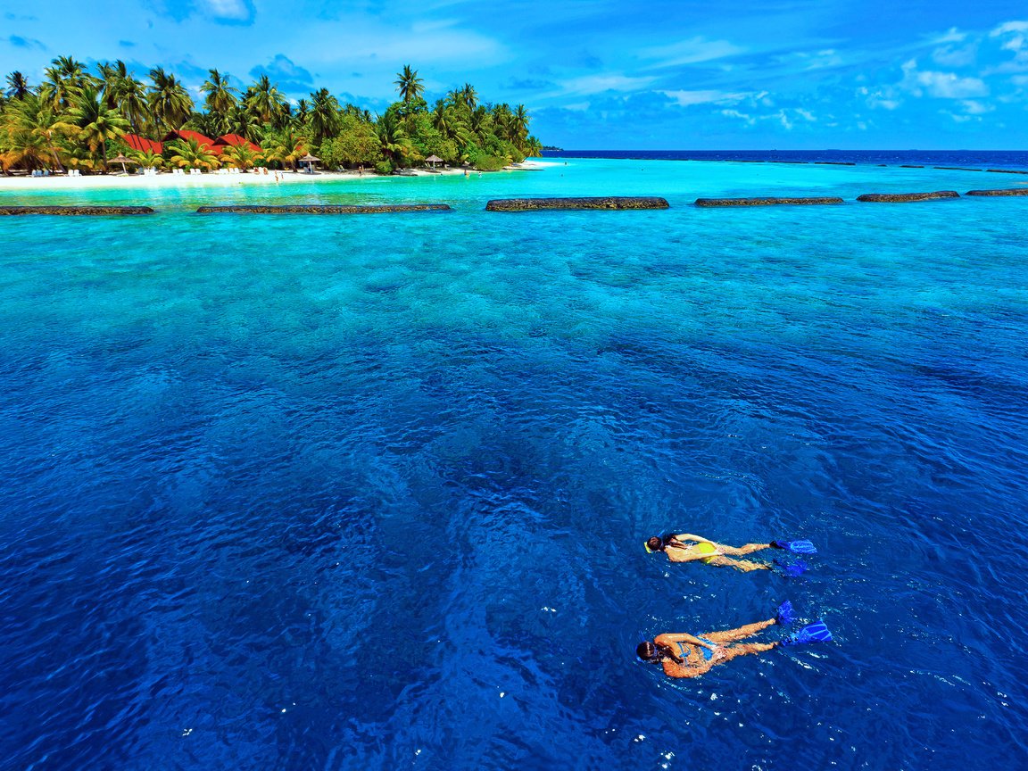 Обои море, остров, тропики, мальдивы, дайвинг, sea, island, tropics, the maldives, diving разрешение 5631x3764 Загрузить