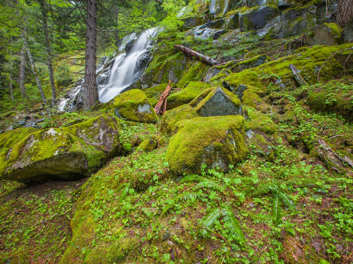 Обои деревья, камни, лес, водопад, мох, trees, stones, forest, waterfall, moss разрешение 2048x1365 Загрузить