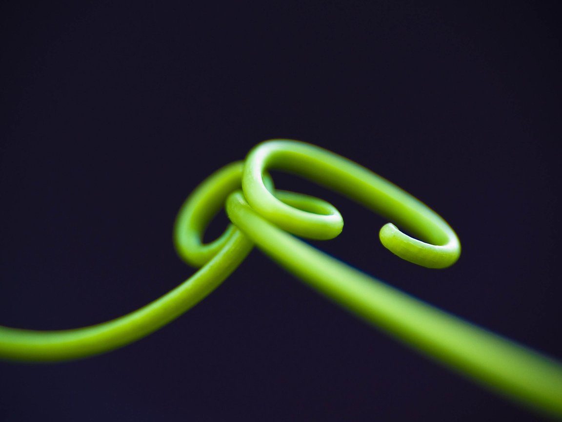 Обои макро, спираль, черный фон, стебли, кольца, зелёная трава, macro, spiral, black background, stems, ring, green grass разрешение 2560x1600 Загрузить